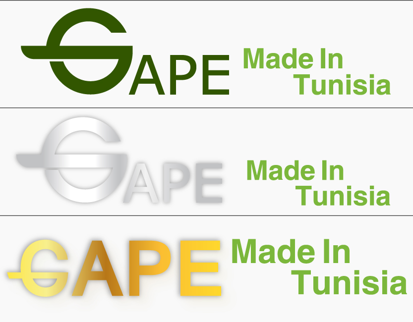 Déclinaisons du logo GAPE, éclairage LED Made in Tunisia