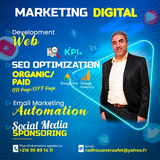 Consultant SEO, Web Designer & spécialiste du marketing digital